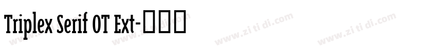 Triplex Serif OT Ext字体转换